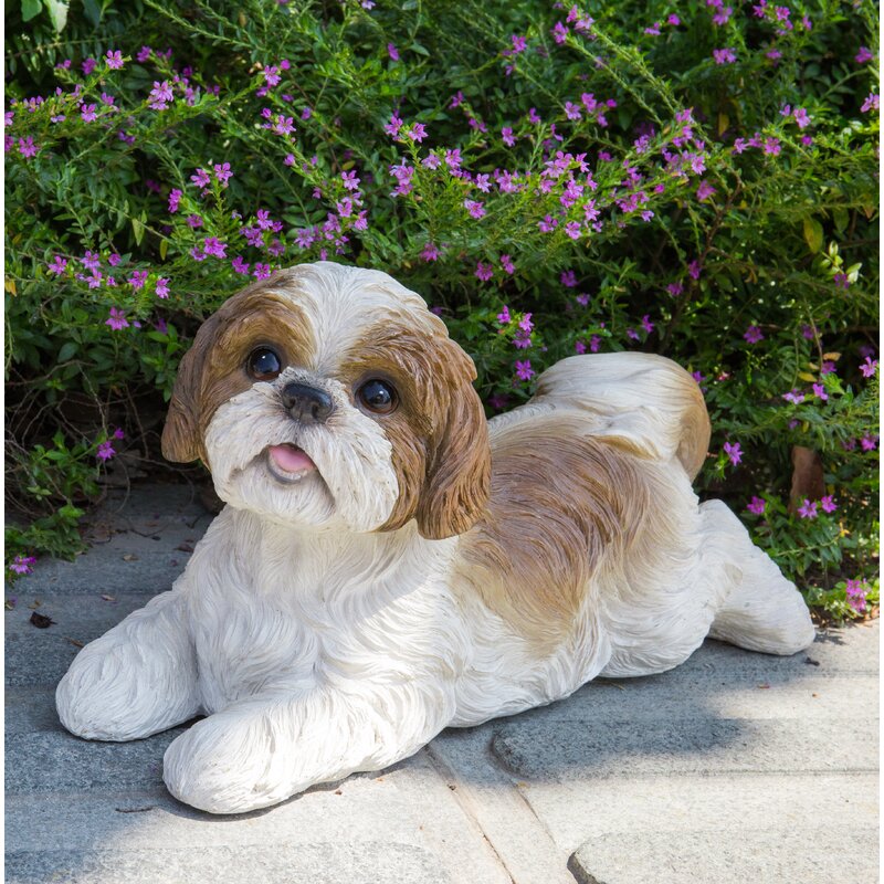 maltese shih tzu statue